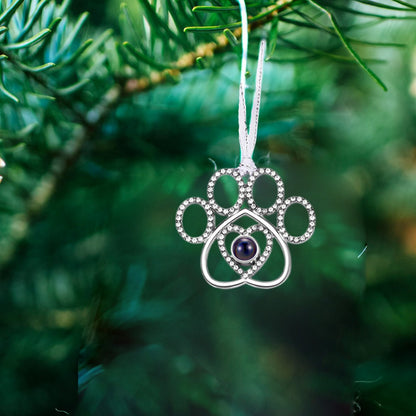 Custom Paw Projection Ornament