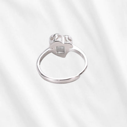 projector ring
