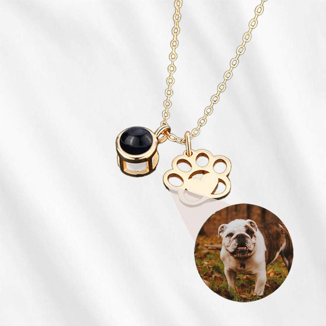 necklace with photo inside pet